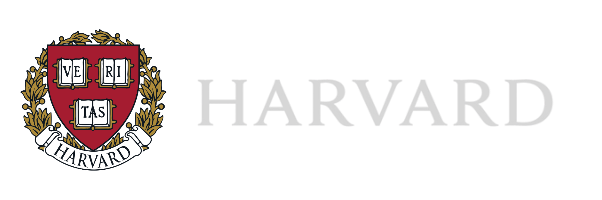 Partner logo 4
